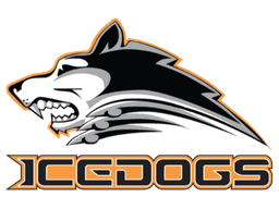 Partner logo 2