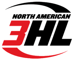 Partner logo 13